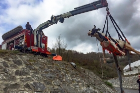 1717922598_STANBUL___TFA__YES___5_AYDA_6_B__N_HAYVAN_KURTARDI__2_