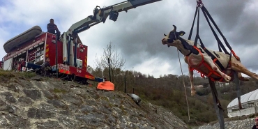 1717922598_STANBUL___TFA__YES___5_AYDA_6_B__N_HAYVAN_KURTARDI__2_